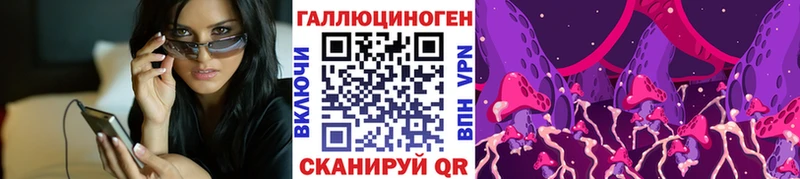 Галлюциногенные грибы Psilocybe  Лесозаводск 