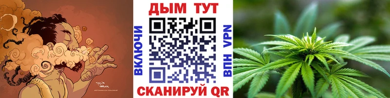 где можно купить   Лесозаводск  Марихуана семена 